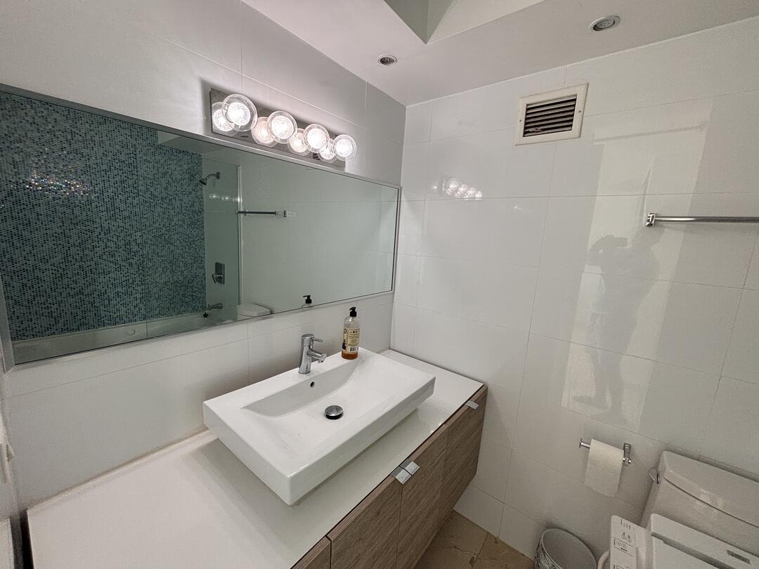Main Bathroom Sink